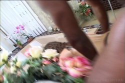 'Big Booty White Girls' screenshot nº 48