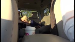'Spitroast Sluts' screenshot nº 115