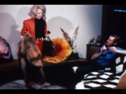 'Johnny Wadd' screenshot nº 86