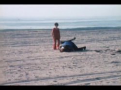 'Johnny Wadd' screenshot nº 109