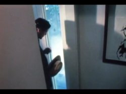 'Johnny Wadd' screenshot nº 3
