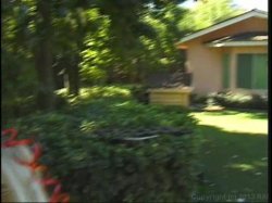 Captura de 'Anal Biker Sluts' nº 25