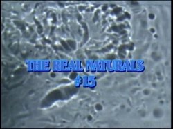 Captura de 'Real Naturals 15' nº 1
