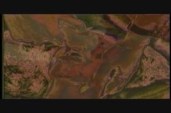 Captura de 'Puritan Video Magazine 16' nº 1