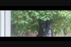 'Rubber Playground' screenshot nº 6