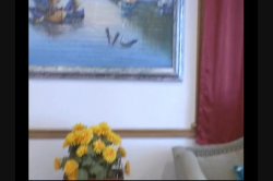 'Nina Hartley: Mommy's P.O.V Cocksucking Adventures' screenshot nº 59