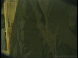 'Black Big Boob Bangeroo #4' screenshot nº 75