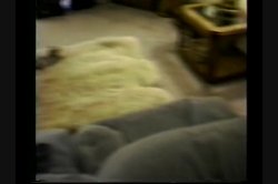 Captura de 'Breast Wishes! #14' nº 61