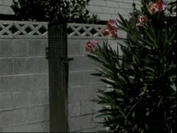 Captura de 'Sinful Pleasures (Hollywood Adult Video)' nº 3