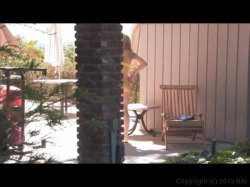 Captura de 'Pussy Playtime' nº 2
