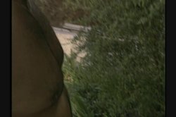 Captura de 'Heather Hunter Uncensored' nº 123