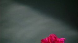 Captura de 'Pussy Lust 7' nº 18
