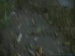 Captura de 'Teen Anal P.O.V. 3' nº 80