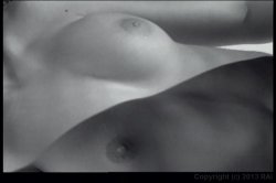 'Young Lesbian Lust' screenshot nº 75