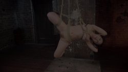 'Hogtied Vol. 20' screenshot nº 82