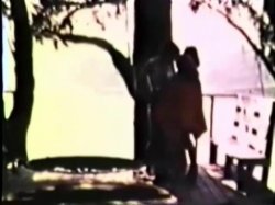'Peepshow Loops 3: 1970s (All Color)' screenshot nº 59
