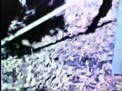 'Peepshow Loops 3: 1970s (All Color)' screenshot nº 86