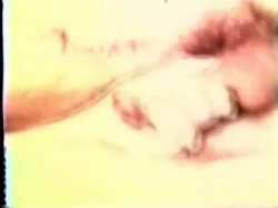 'Peepshow Loops 3: 1970s (All Color)' screenshot nº 112