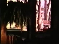 'Peepshow Loops 3: 1970s (All Color)' screenshot nº 117