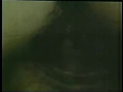 Captura de 'Peepshow Loops 412' nº 47