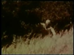 Captura de 'Peepshow Loops 412' nº 17