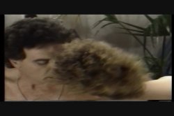 Captura de 'Big Tits Peeping Tom' nº 100