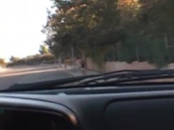 'Teen Hitchhikers 19' screenshot nº 39