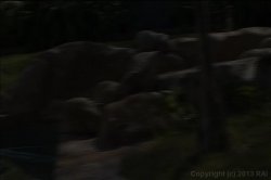 'Juicy White Anal Booty 3' screenshot nº 4