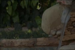 'Juicy White Anal Booty 3' screenshot nº 125