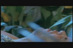 Captura de 'Vivid Girl Confidential: Christy Canyon' nº 23