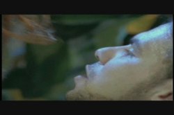 Captura de 'Vivid Girl Confidential: Christy Canyon' nº 25