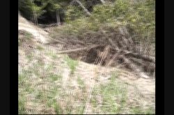 'Backyard Amateurs #24' screenshot nº 80