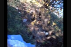 'Backyard Amateurs #24' screenshot nº 126