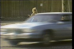 'Exposure' screenshot nº 4