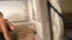 'Rollin' With Goldie' screenshot nº 115