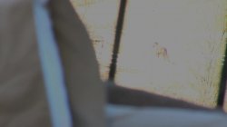 'X-Starlets' screenshot nº 109