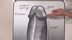 Captura de 'Expert Guide To Hand Jobs For Men & Women' nº 32