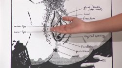 Captura de 'Expert Guide To Hand Jobs For Men & Women' nº 11