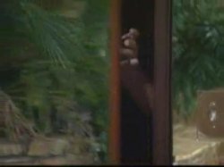 Captura de 'God Daughter 4' nº 98