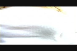 'Backyard Amateurs #2' screenshot nº 4