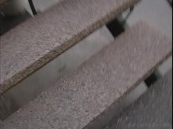 'Myplace 2 - A Space For Whores' screenshot nº 2