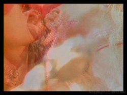 Captura de 'Busty Hollywood Starlets 3' nº 81