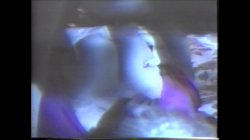 Captura de 'Big Bust Babes Vol. 6: The Breast of America' nº 20