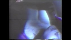 Captura de 'Big Bust Babes Vol. 6: The Breast of America' nº 21