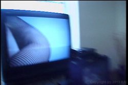 'Live Bait 2' screenshot nº 20
