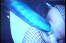 'Live Bait 2' screenshot nº 22