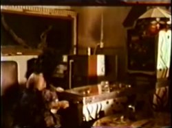 Captura de 'Peepshow Loops (Swedish) 417: '70s to '80s (All Color)' nº 2