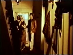 Captura de 'Peepshow Loops (Swedish) 417: '70s to '80s (All Color)' nº 38