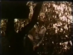 Captura de 'Peepshow Loops (Swedish) 417: '70s to '80s (All Color)' nº 76