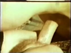 Captura de 'Peepshow Loops (Swedish) 417: '70s to '80s (All Color)' nº 105